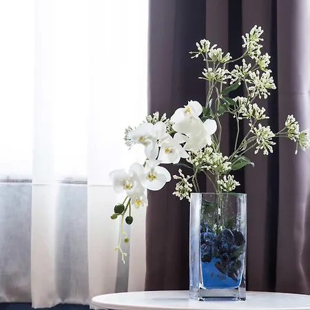 ホテル Don Pedro アビレス